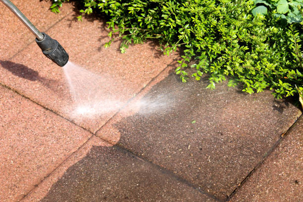 Best Deck Cleaning Services  in Caon City, CO